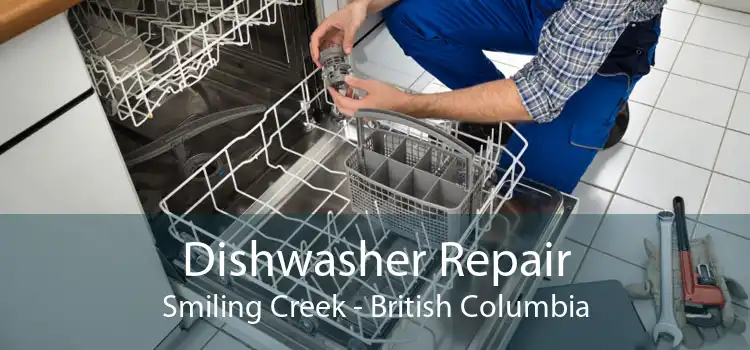 Dishwasher Repair Smiling Creek - British Columbia