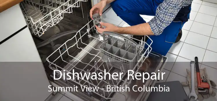 Dishwasher Repair Summit View - British Columbia