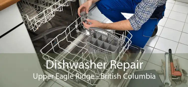 Dishwasher Repair Upper Eagle Ridge - British Columbia