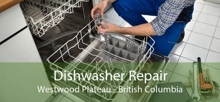 Dishwasher Repair Westwood Plateau - British Columbia