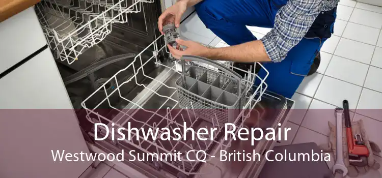 Dishwasher Repair Westwood Summit CQ - British Columbia