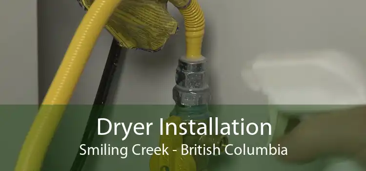 Dryer Installation Smiling Creek - British Columbia