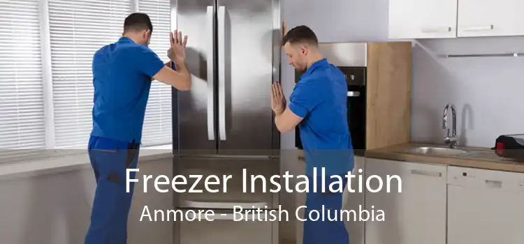 Freezer Installation Anmore - British Columbia
