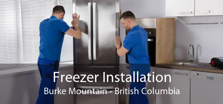 Freezer Installation Burke Mountain - British Columbia