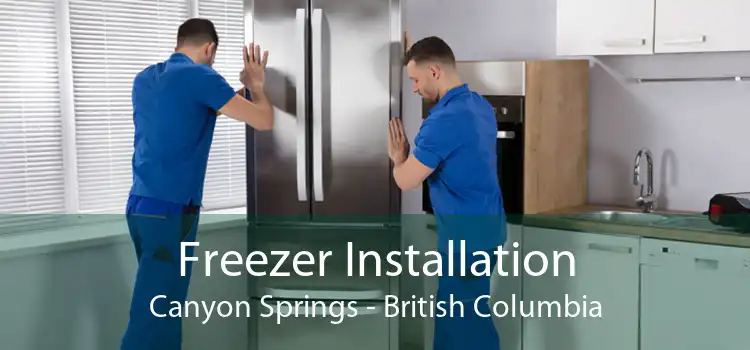 Freezer Installation Canyon Springs - British Columbia