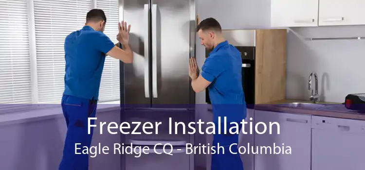 Freezer Installation Eagle Ridge CQ - British Columbia