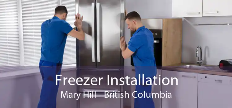 Freezer Installation Mary Hill - British Columbia