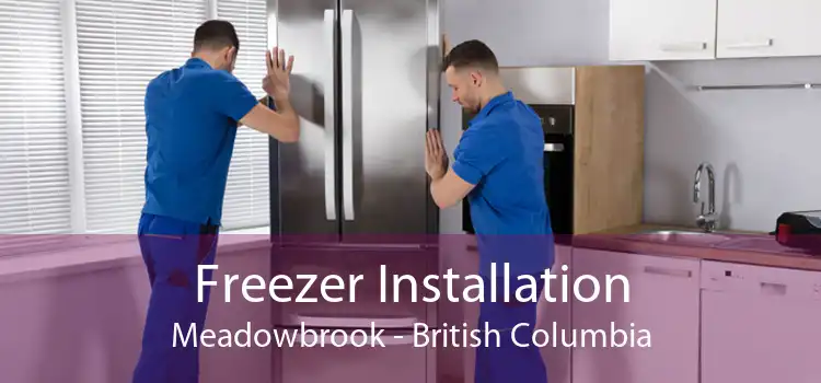 Freezer Installation Meadowbrook - British Columbia