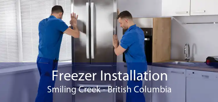 Freezer Installation Smiling Creek - British Columbia