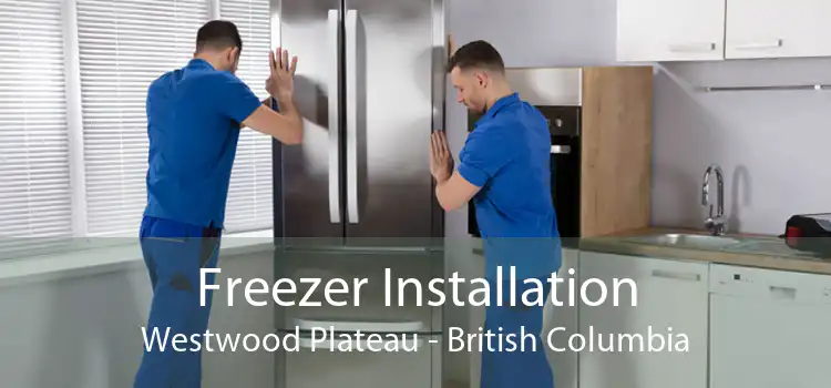 Freezer Installation Westwood Plateau - British Columbia