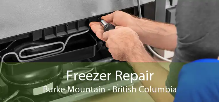 Freezer Repair Burke Mountain - British Columbia