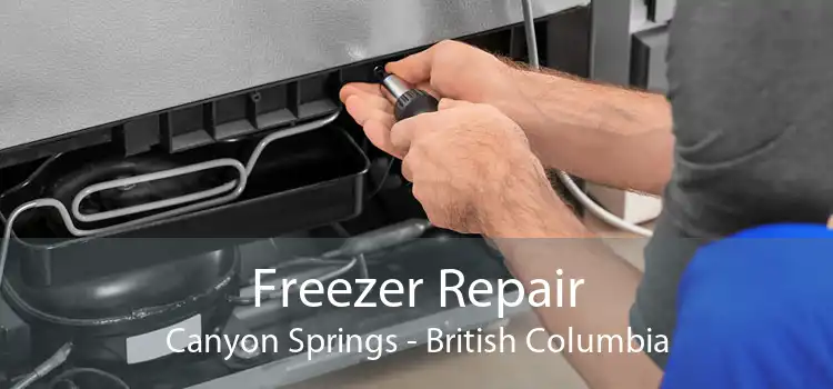 Freezer Repair Canyon Springs - British Columbia