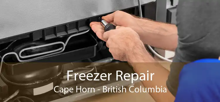 Freezer Repair Cape Horn - British Columbia