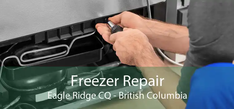 Freezer Repair Eagle Ridge CQ - British Columbia