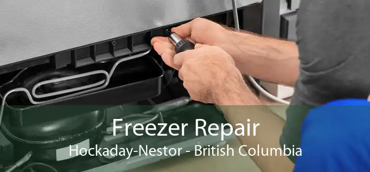 Freezer Repair Hockaday-Nestor - British Columbia