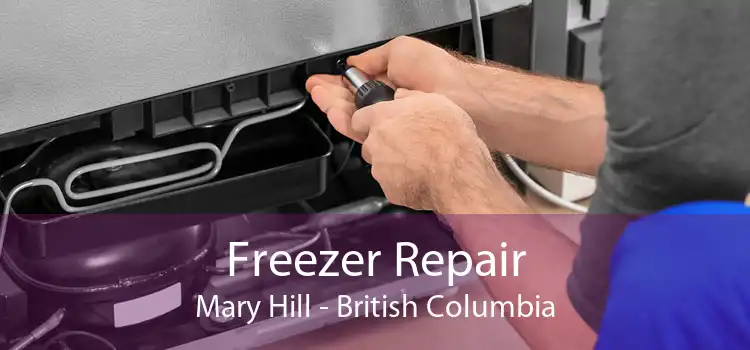 Freezer Repair Mary Hill - British Columbia