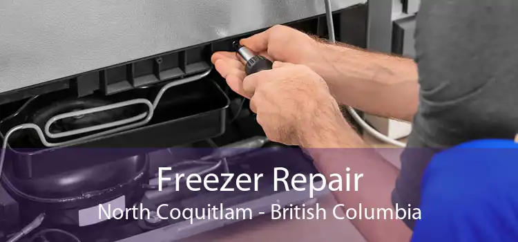 Freezer Repair North Coquitlam - British Columbia