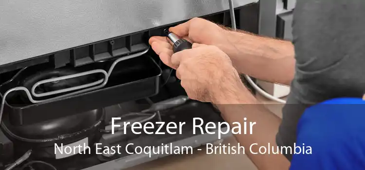 Freezer Repair North East Coquitlam - British Columbia