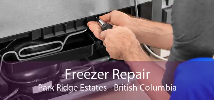 Freezer Repair Park Ridge Estates - British Columbia