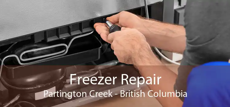 Freezer Repair Partington Creek - British Columbia