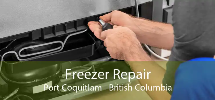Freezer Repair Port Coquitlam - British Columbia