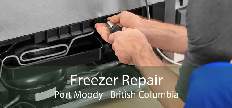 Freezer Repair Port Moody - British Columbia
