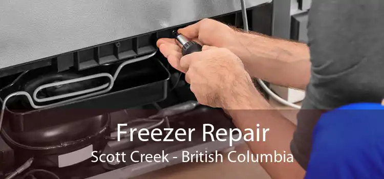 Freezer Repair Scott Creek - British Columbia