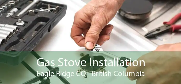 Gas Stove Installation Eagle Ridge CQ - British Columbia