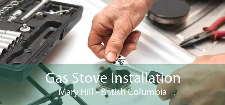 Gas Stove Installation Mary Hill - British Columbia