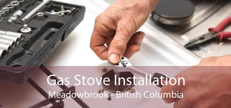 Gas Stove Installation Meadowbrook - British Columbia