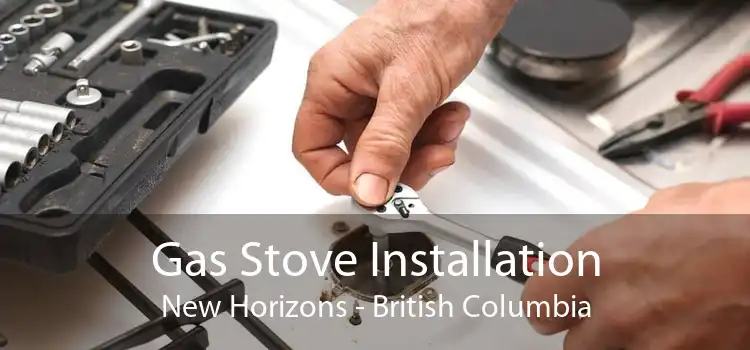 Gas Stove Installation New Horizons - British Columbia