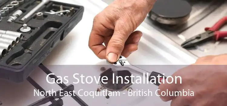 Gas Stove Installation North East Coquitlam - British Columbia