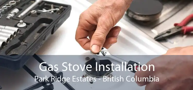 Gas Stove Installation Park Ridge Estates - British Columbia