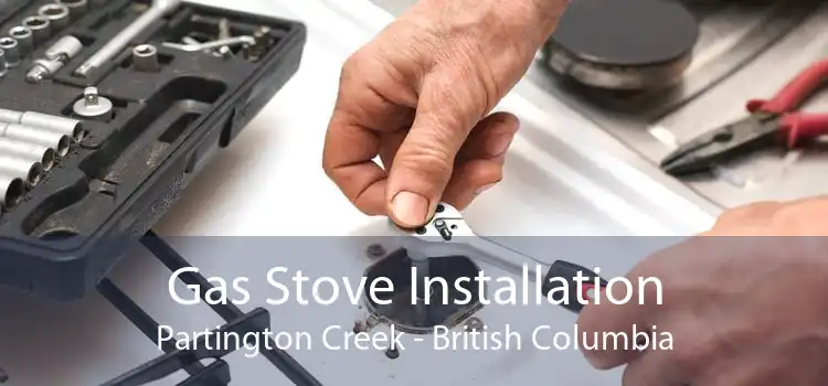 Gas Stove Installation Partington Creek - British Columbia