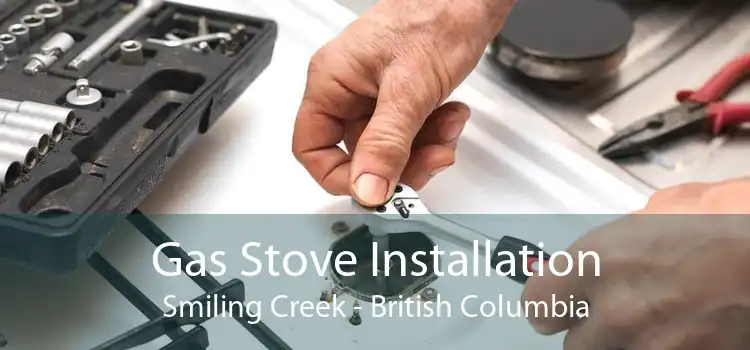 Gas Stove Installation Smiling Creek - British Columbia