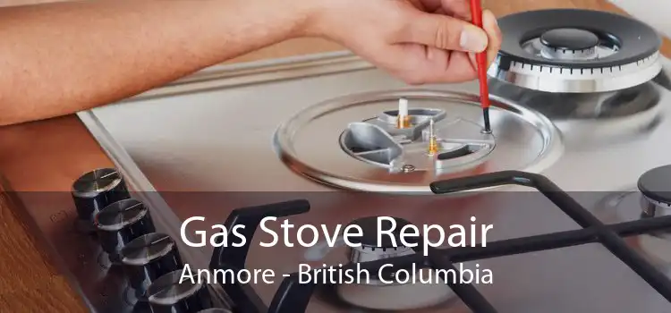 Gas Stove Repair Anmore - British Columbia