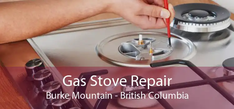 Gas Stove Repair Burke Mountain - British Columbia