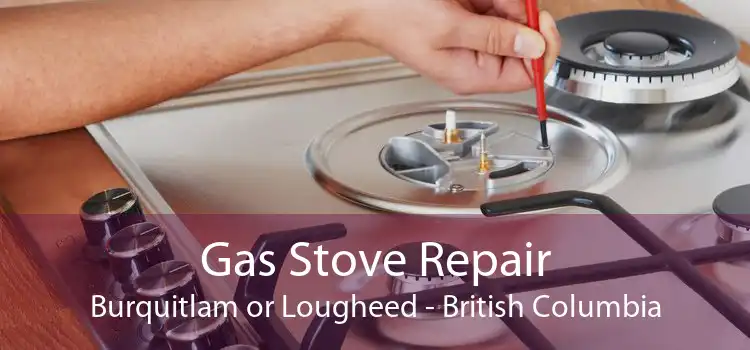 Gas Stove Repair Burquitlam or Lougheed - British Columbia