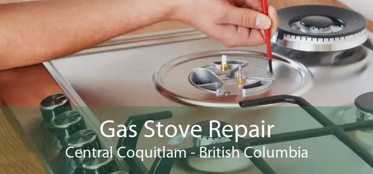 Gas Stove Repair Central Coquitlam - British Columbia