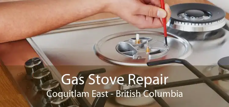 Gas Stove Repair Coquitlam East - British Columbia