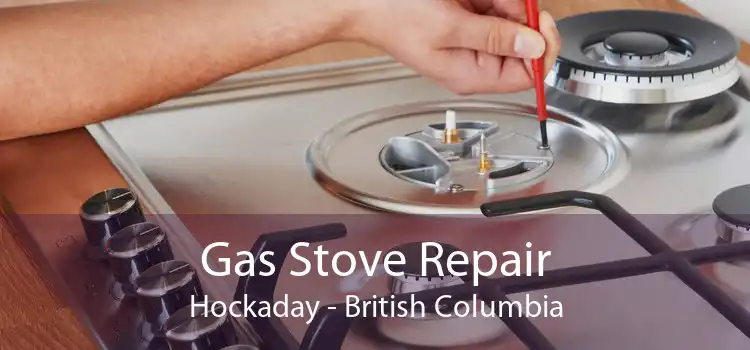 Gas Stove Repair Hockaday - British Columbia