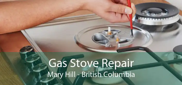 Gas Stove Repair Mary Hill - British Columbia
