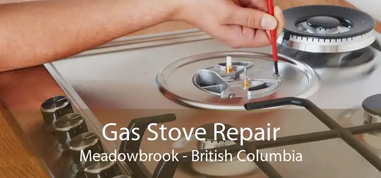 Gas Stove Repair Meadowbrook - British Columbia