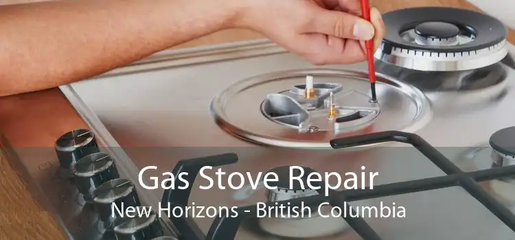 Gas Stove Repair New Horizons - British Columbia
