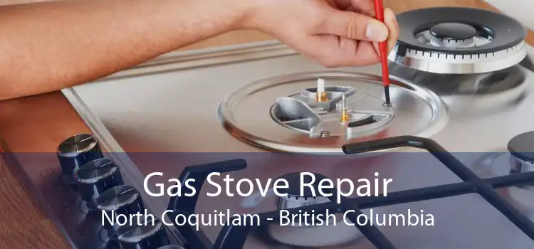 Gas Stove Repair North Coquitlam - British Columbia