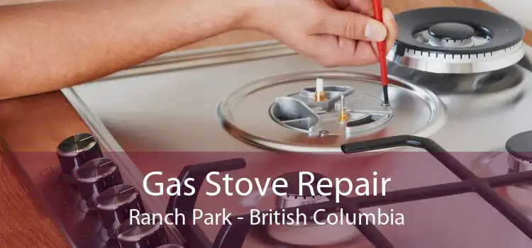 Gas Stove Repair Ranch Park - British Columbia