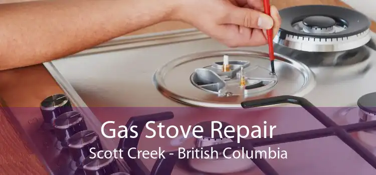 Gas Stove Repair Scott Creek - British Columbia