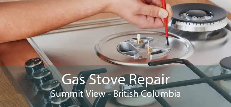 Gas Stove Repair Summit View - British Columbia