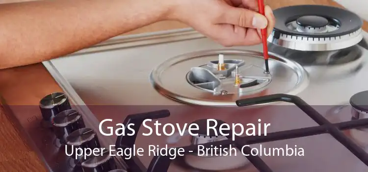 Gas Stove Repair Upper Eagle Ridge - British Columbia