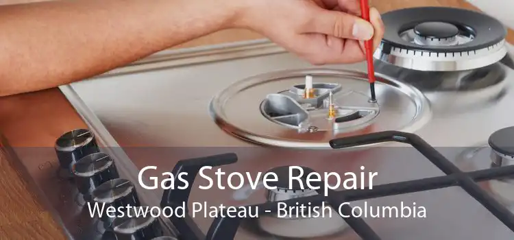 Gas Stove Repair Westwood Plateau - British Columbia